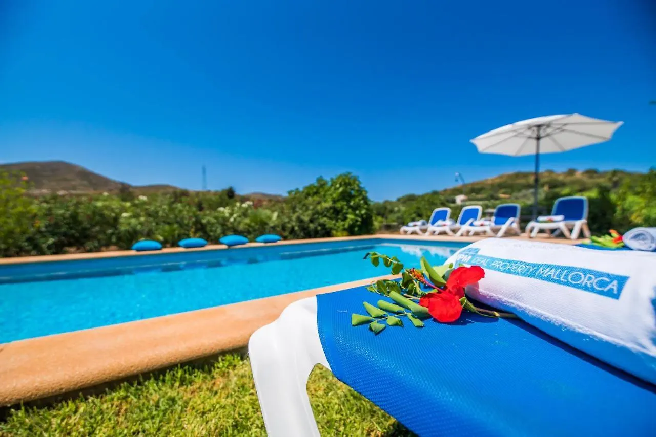 كابذيبيرا Ideal Property Mallorca - Mamici